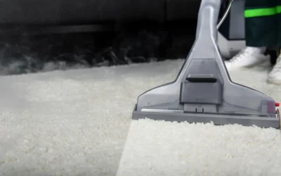 The Importance of Commercial Carpet Cleaning